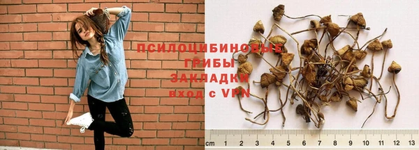 ешки Алексеевка