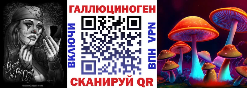 площадка какой сайт Павлово Псилоцибиновые грибы MAGIC MUSHROOMS